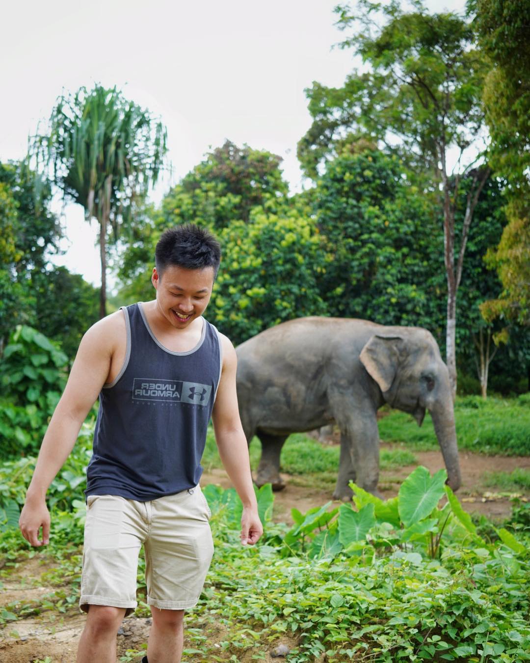 Photo by Andy | Sydney • Travel • Training in Phuket Elephant Sanctuary