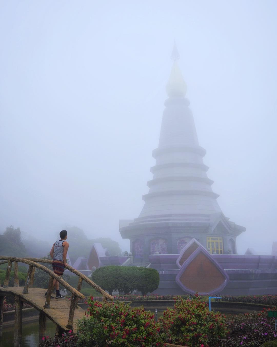 Photo by Andy | Sydney • Travel • Training in Doi Inthanon National Park